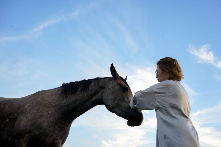 isao-fisioterapia-equina-12