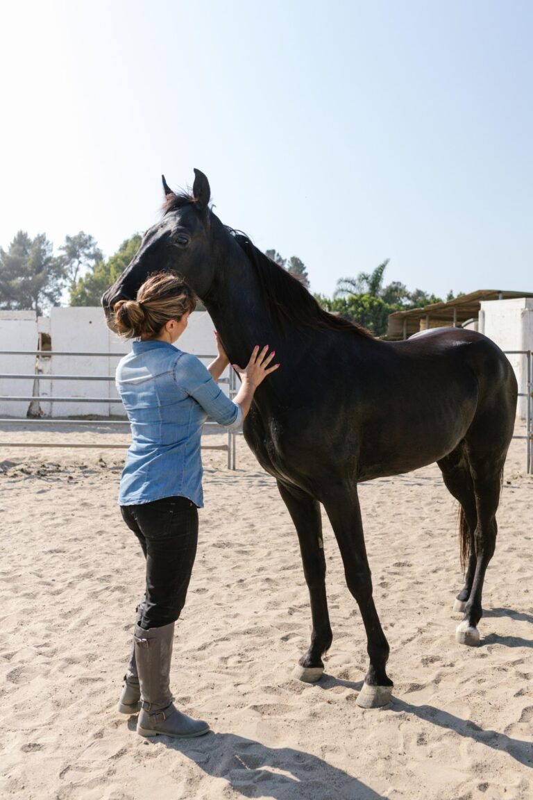 isao-fisioterapia-equina-13