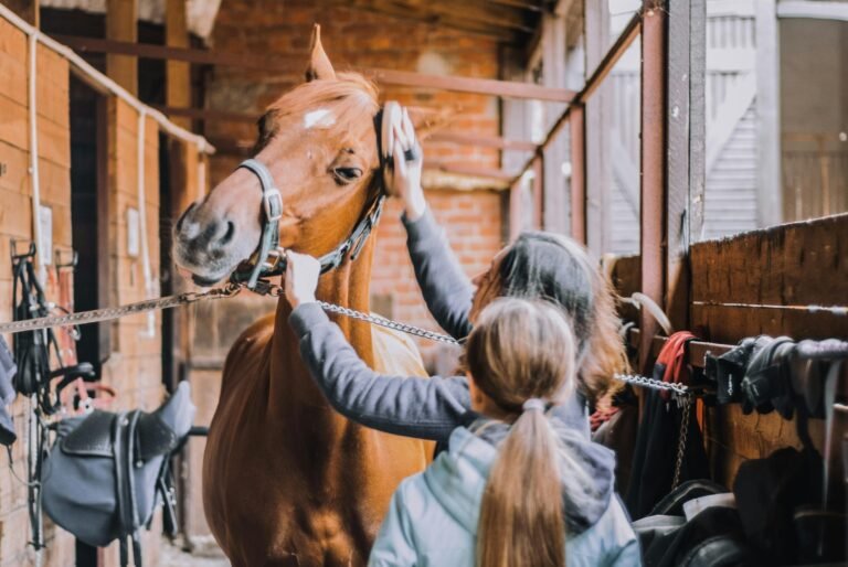 isao-fisioterapia-equina-14