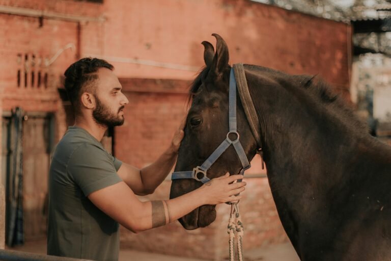 isao-fisioterapia-equina-15