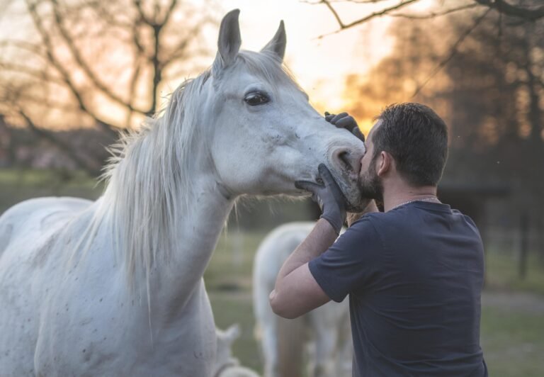 isao-fisioterapia-equina-7